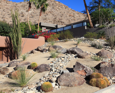 xeriscape